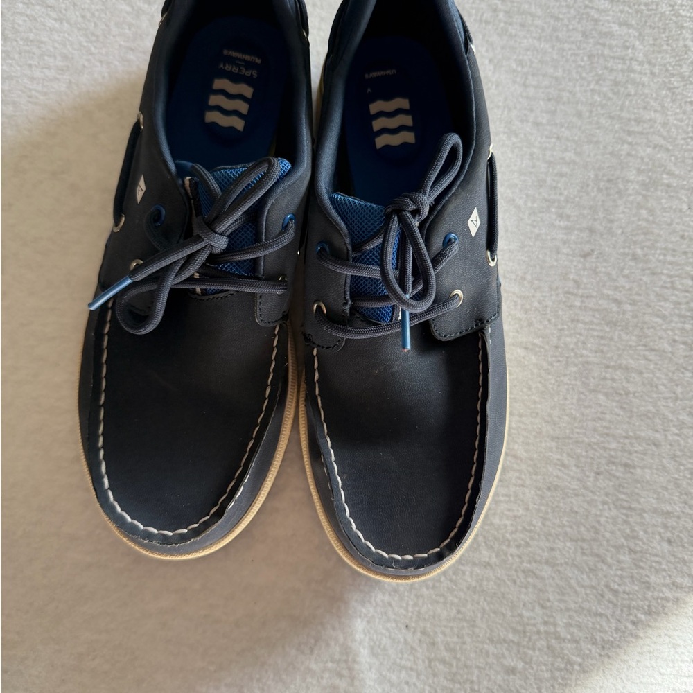 Sperry Men's Dark Blue Boat Shoes